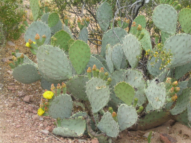 618x457 pixels (247K)